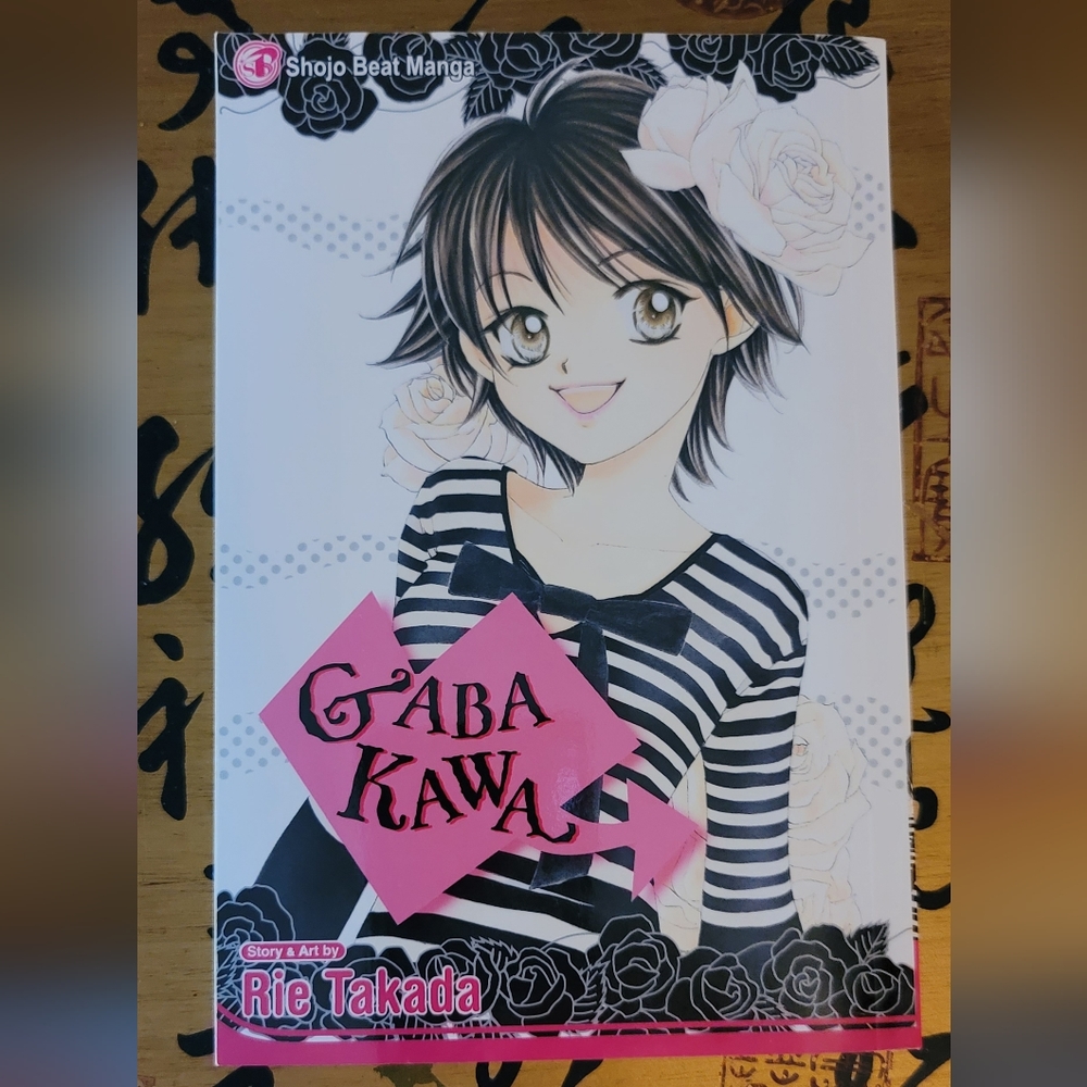 Gaba Kawa Rie Takada manga graphic novel comic anime paperback book